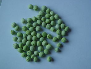 冻干豌豆 自然营养的定格，北绿冻干食品有限公司为您呈现