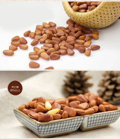 太极养生医馆产品全解析 泰兴食品开口松子500g袋装，品质、价格与食用体验一网打尽